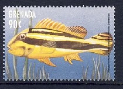  Plectorhinchus albovittatus (Twostriped Sweetlips, Giant Sweetlips)