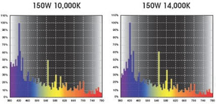 Typical 10K and 14K metal halide lamp spectrum which emits the yellow, orange, and red spectrum. This can lead to nuisance algae growth. Low Kelvin white LEDs can produce the same results. Photo courtesy of Ushio Electric