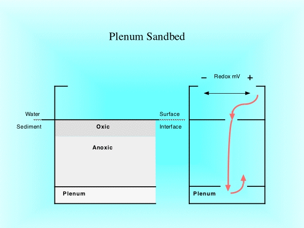 plenum freshwater aquarium